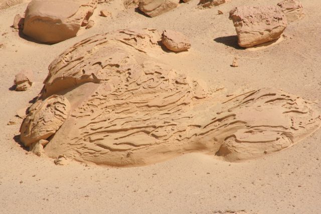 le desert_20071026_0179.jpg